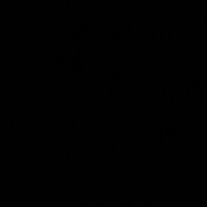 Meet your Posher, Belinda